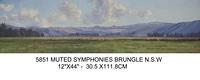 Muted Symphonies Brunglensw305 X 1118 Cm