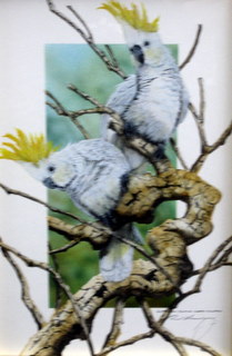 Australian Sulphur Crested Cockatoosyou Dont Bring Me Flowers Any More18 X 27 Sold