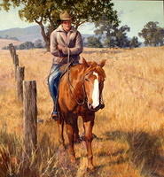 6412 Boundary Rider And His Mate1405 X 133 Cm